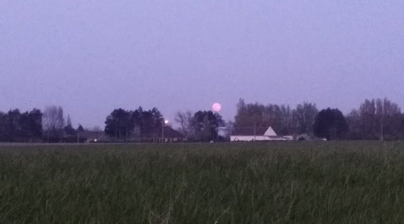 Écurie de propriétaire - photo 3