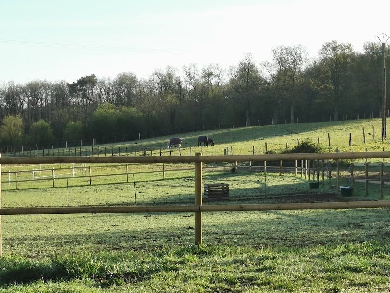 LES ÉCURIES DE POMPIERRE - photo 2