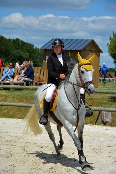 LES ÉCURIES DE POMPIERRE - photo 3