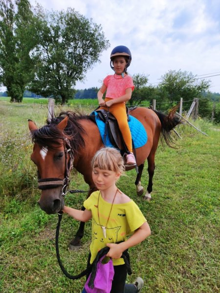 Espace Equestre Equitao - photo 2