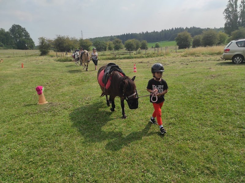 Espace Equestre Equitao - photo 3