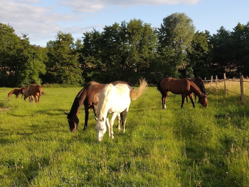 Les Ecuries du Saule - photo 1