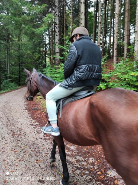 Manège de Bulle Gavillet Valentin