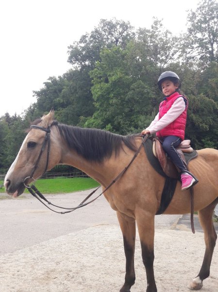 Manège de Bulle Gavillet Valentin - photo 3