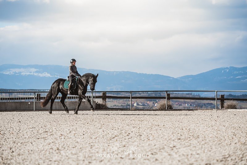 Domaine Equestre d'Ogens - photo 2