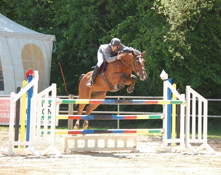 Ecuries en Verbonne - photo 2