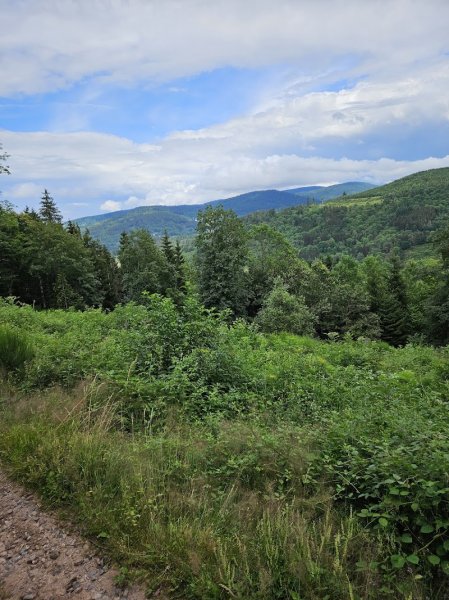 Pension Keny balades et randonnées - photo 3