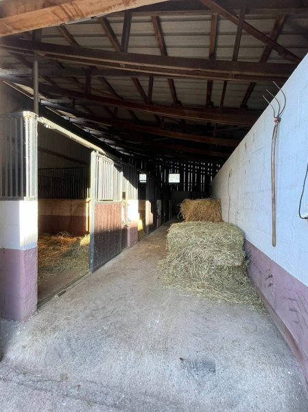 Écurie d'é Sens - photo 2