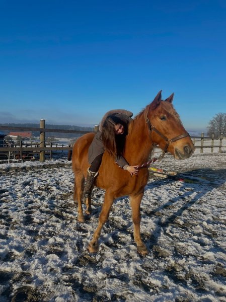 Écurie d'é Sens - photo 3