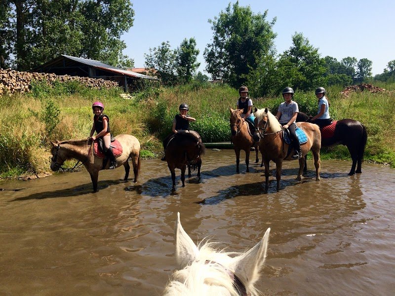 Les écuries hopla Geiss poney club - photo 2