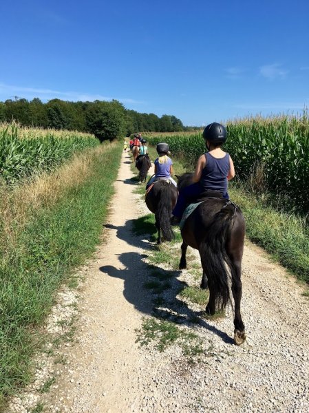 Les écuries hopla Geiss poney club - photo 3