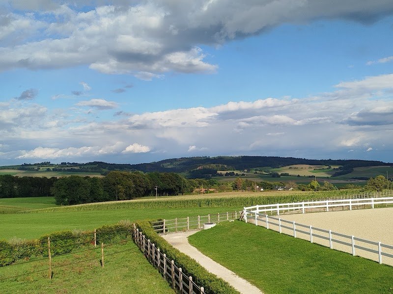 Psaro's Horses SNC - photo 3