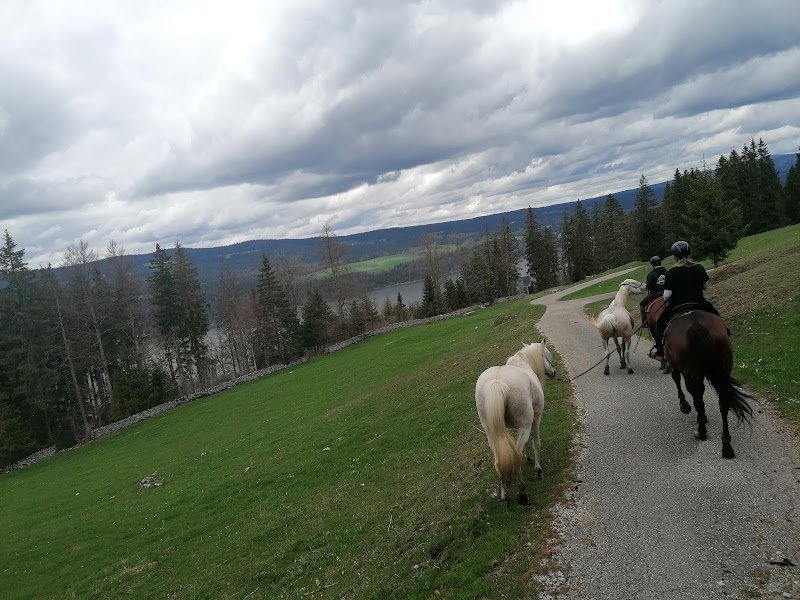 Manège de la Vallée