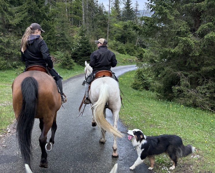 Manège de la Vallée - photo 2