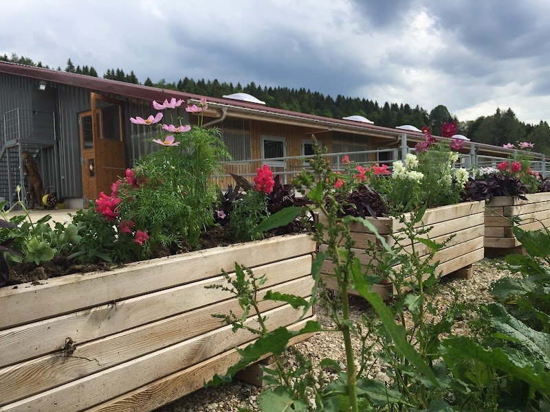 Manège de la Vallée - photo 3