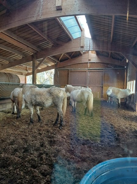 Cheval nature. Gîte la Loge