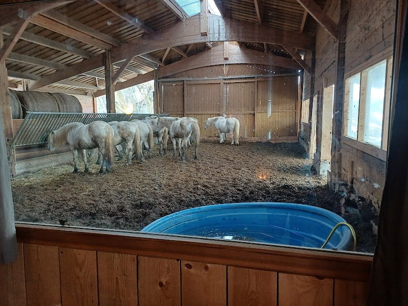 Cheval nature. Gîte la Loge - photo 2