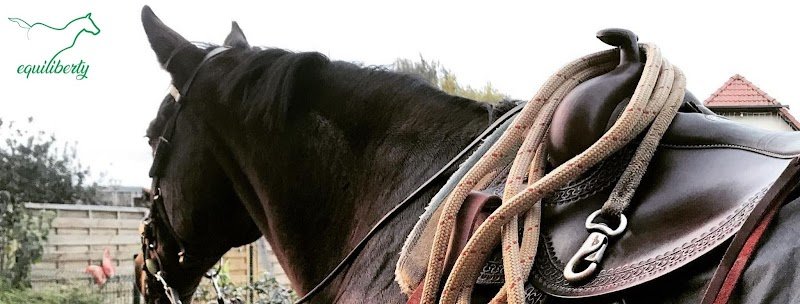 Sellerie Equiliberty