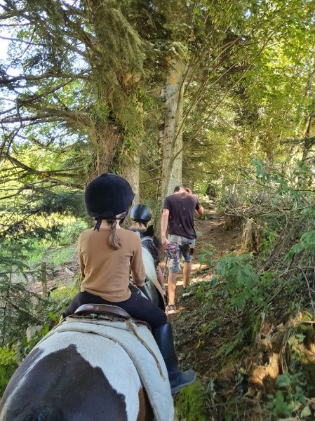 les ecuries du quarmantran - photo 1