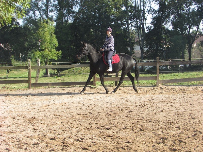 Les Ecuries de Chailles - photo 1