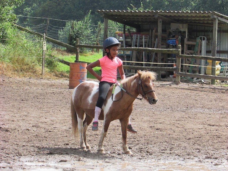 Les Ecuries de Chailles - photo 2