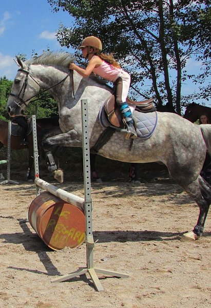 Les Ecuries de Chailles - photo 3