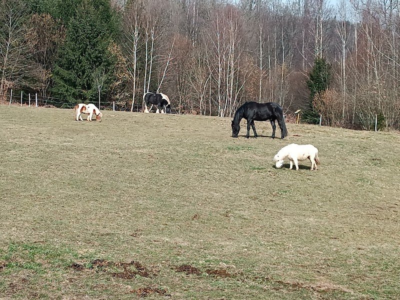 Ecurie du val courroye