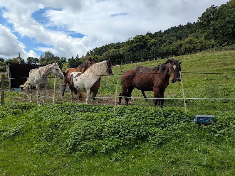 Ecurie du val courroye - photo 3