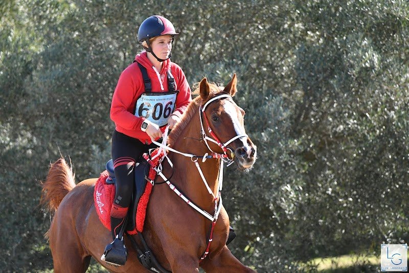 Ecurie des Bois - photo 2