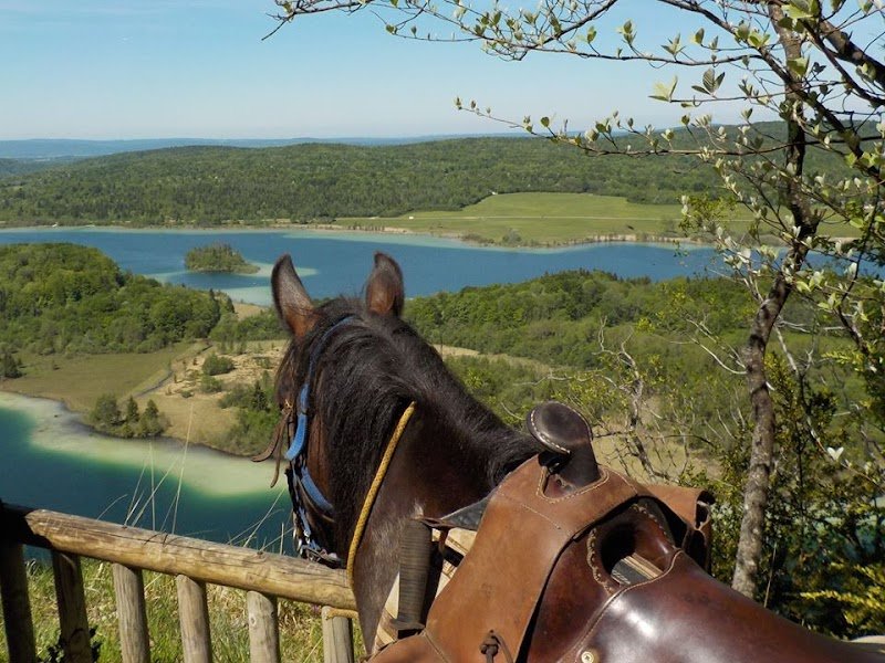 Écurie des 4 Lacs - photo 2