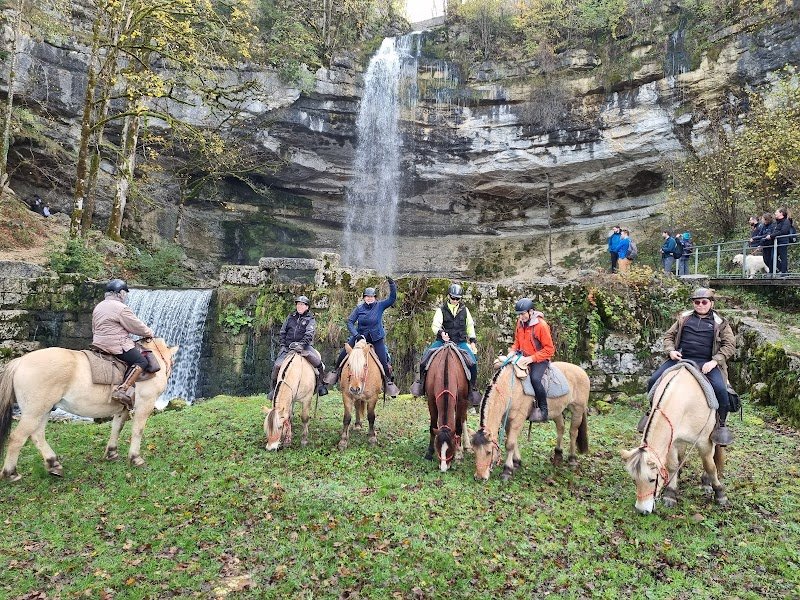 Écurie des 4 Lacs - photo 3