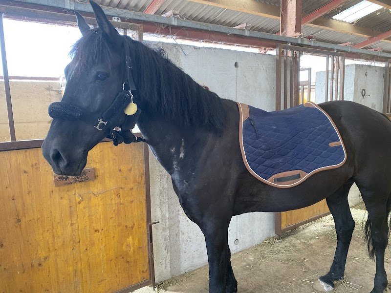 Écurie de la Charbonnière