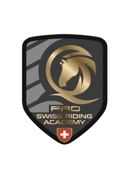 Ecurie Quiquerez - photo 1