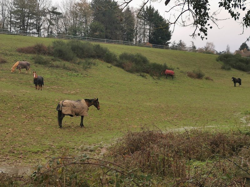 Écurie du Val - photo 1