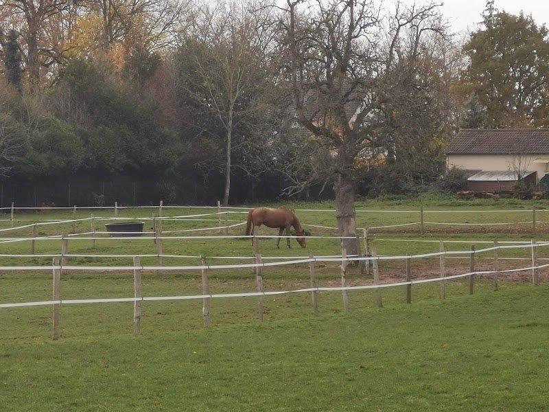 Écurie du Val - photo 2