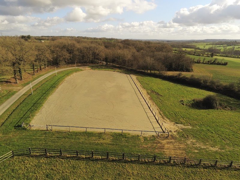 ELEVAGE DU GRAND VAL - PENSION CHEVAUX