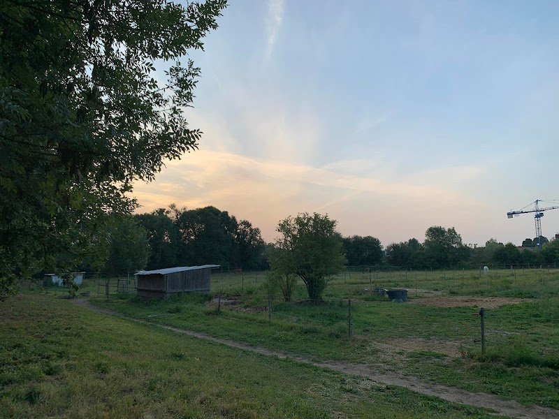 Ecurie, Haras des Saules - photo 1