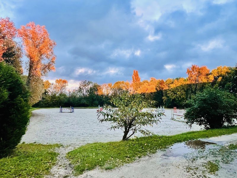 Ecurie, Haras des Saules - photo 3