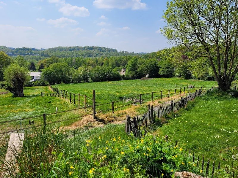 Écurie des Saules (Viesville) - photo 2
