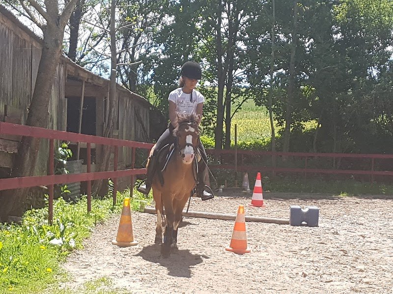 Ecurie / Poney Club des 2 Saules - photo 2