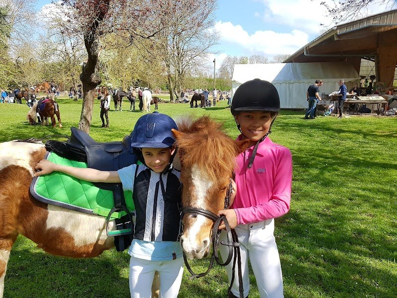 Ecurie / Poney Club des 2 Saules - photo 3