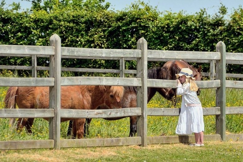 Ecuries du Pré du Saule - photo 3