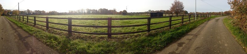 Haras du Feu, Écurie,Elevage et pension chevaux - photo 1
