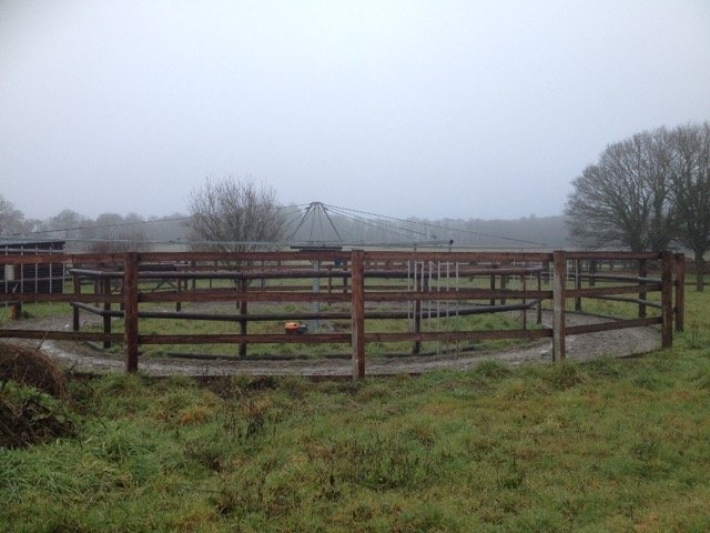 Haras du Feu, Écurie,Elevage et pension chevaux - photo 2