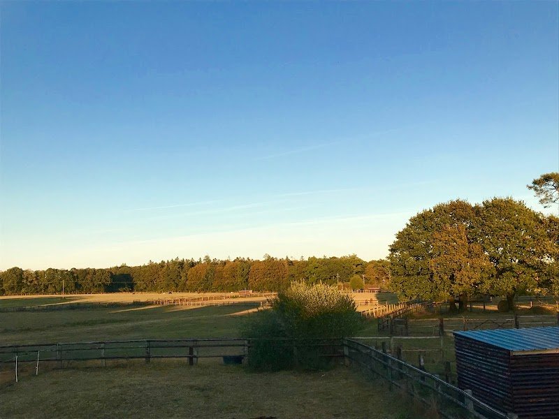 Haras du Feu, Écurie,Elevage et pension chevaux - photo 3