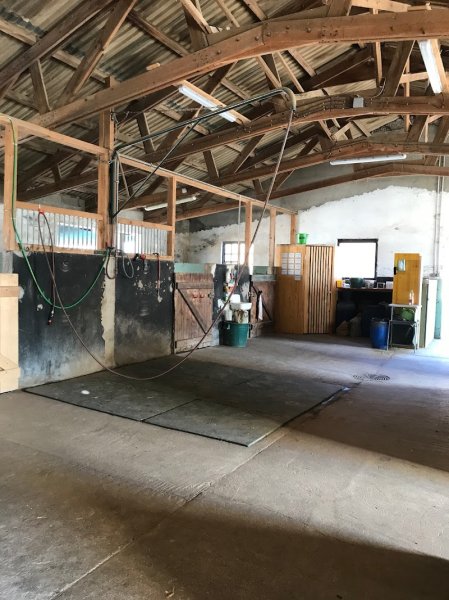 Ferme Stehlin Pension chevaux - photo 3