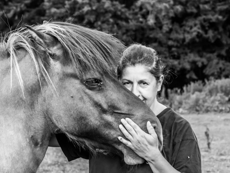 Venez Murmurer Avec Les Chevaux equicoaching