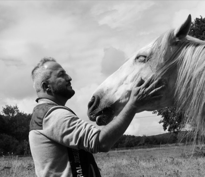 Venez Murmurer Avec Les Chevaux equicoaching - photo 2