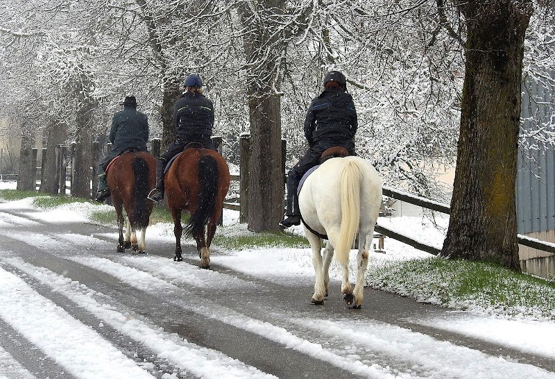 Ecurie de l'Aurore - photo 1