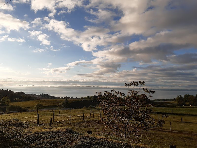 Centre Equestre le Cudret - photo 1